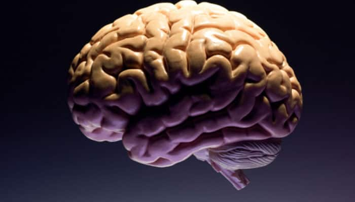 Wireless, dissolvable sensors to soon monitor brain