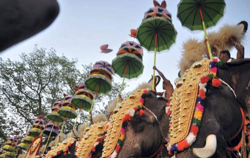 Sabarimala elephant attack: Kerala HC seeks Animal Welfare Board's opinion  | India News | Zee News