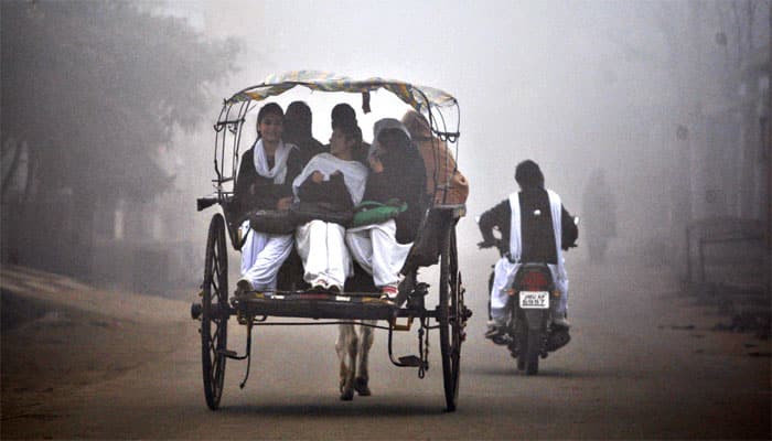 Cold wave, foggy weather affect life in north India