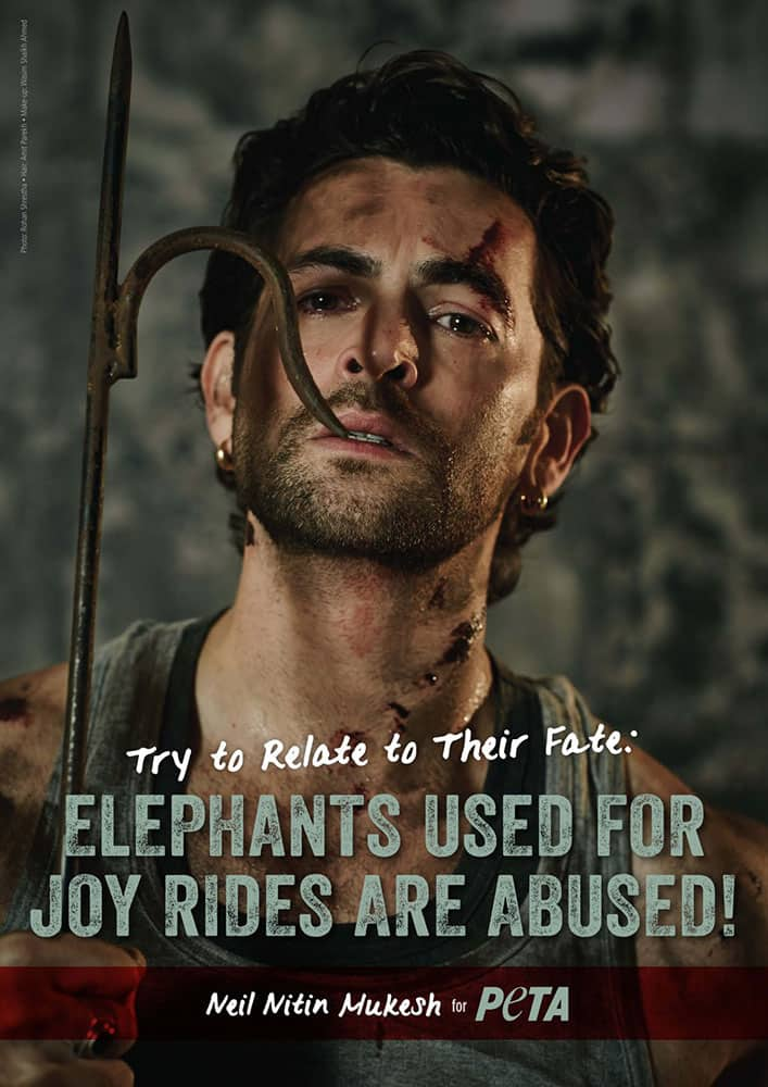 PETA India :- Actor Neil Nitin Mukesh wants fans to relate to elephants’ fate and say no to joyrides -twitter