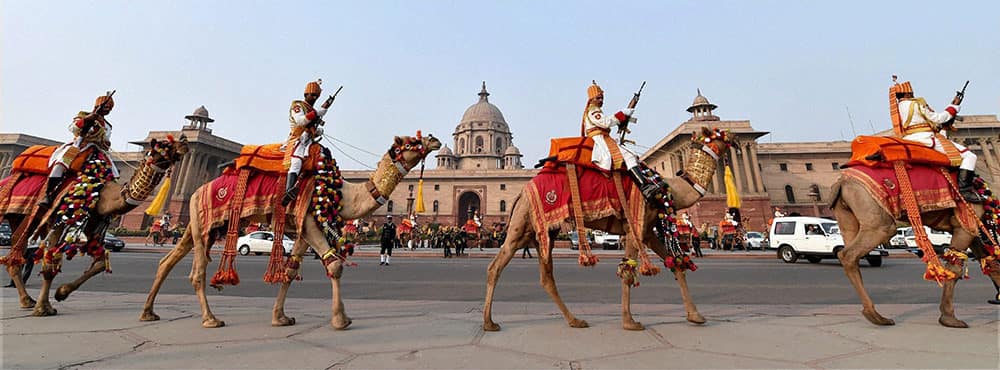 BSF soldiers mounted on camels arrive to participate in rehearsal for the Beating Retreat ceremony, in New Delhi.