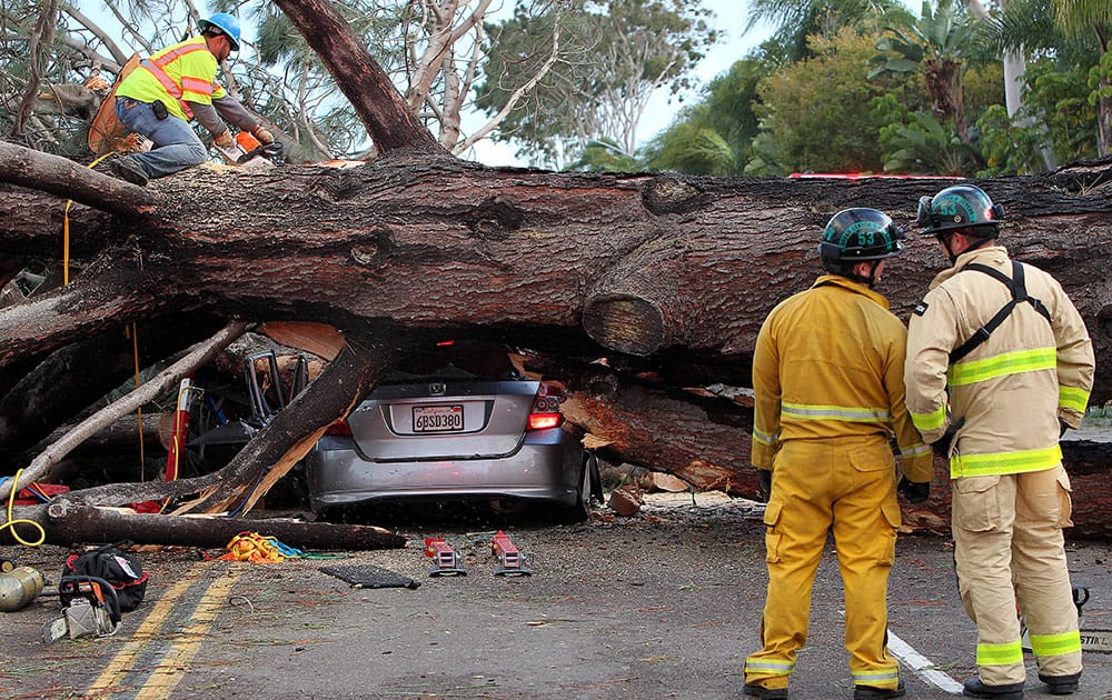 Firefighters work to remove a large tree that fell across multiple lanes of traffic, killing a motorist, in Pacific Beach, Calif.