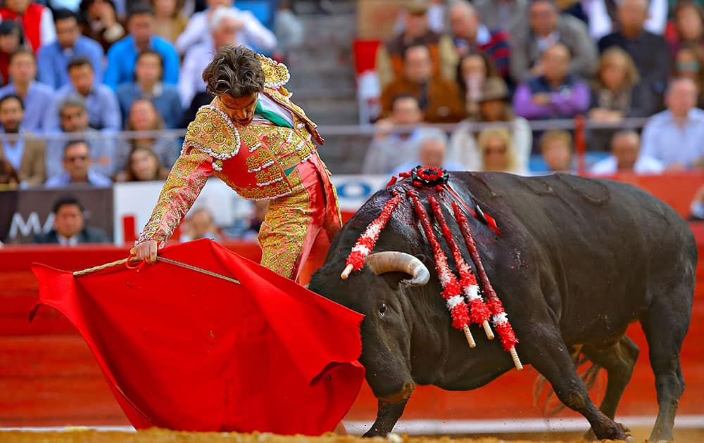 Spain's bullfighter Jose Tomas performs at the Monumental Bullring in Mexico City.