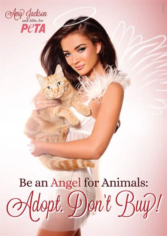 PETA India ‏:- #HappyBirthday gorgeous @iamAmyJackson! V ❤ u fr ur endless support & standing up fr animals http://bit.ly/1dUT12T  -twitter