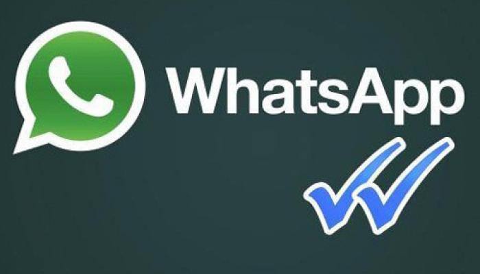 WhatsApp now supports 256 people in group chat!