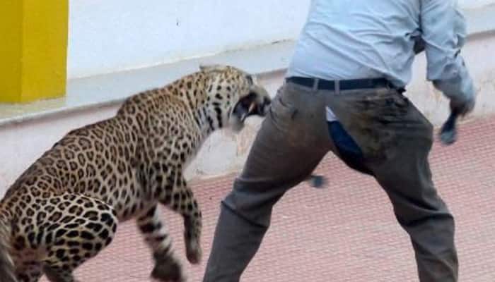 What happened when a leopard entered Bengaluru school: Don&#039;t miss the video