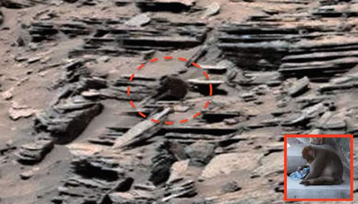 See pic: Call for further study after discovery of baboon-like creature on Mars!