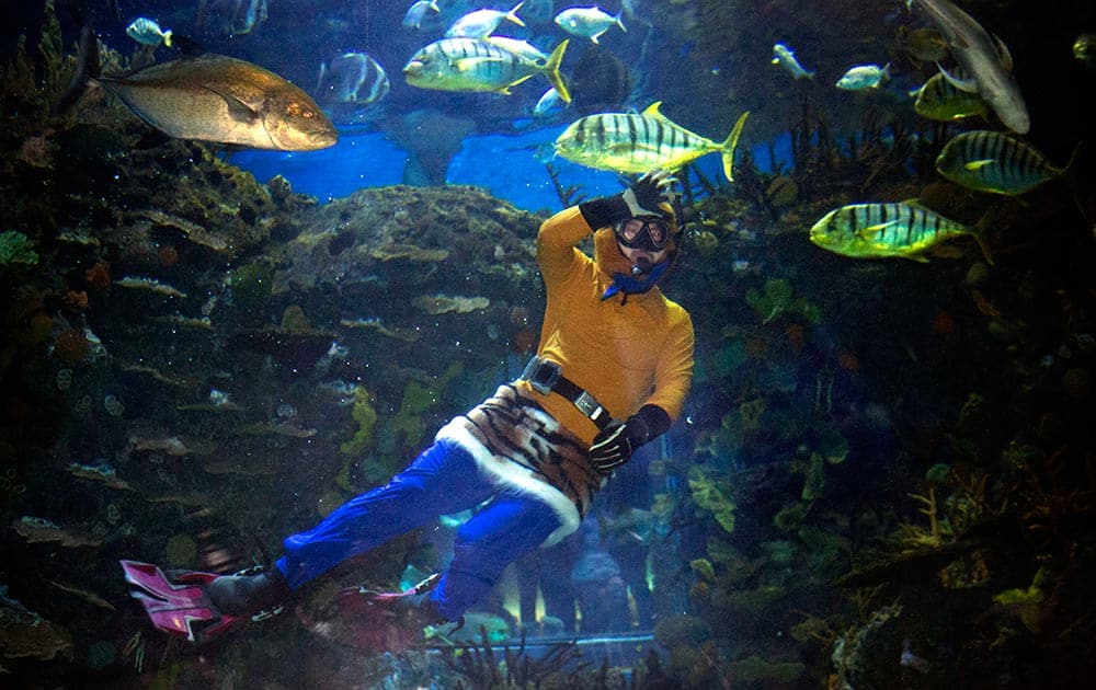 A diver dressed as the Monkey King from the classic Chinese literary tale 'Journey to the West' waves as he dives in a tank at the Beijing Aquarium in Beijing.