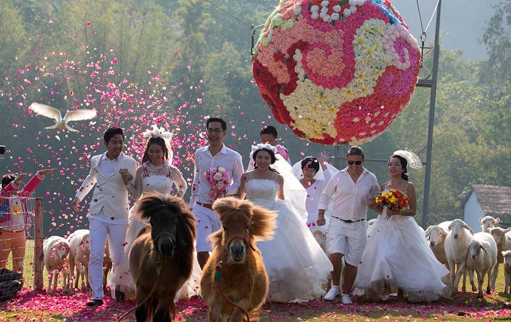 Four newlywed couples from left, Jintara Promachat and Kittinant Suwansiri , Kasemsak Jiranantiporn and Duangruethai, Thipilindhra Chidee and Laddawal Chidee, British David Leslie Chesterman and Charunee Koydun run away from a giant flower ball as a part of an adventure-themed wedding ceremony in Ratchaburi Province, Thailand.