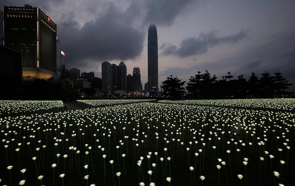 LED light roses are lit up at the 'Light Rose Garden', against the backdrop of Central, the business district of Hong Kong.