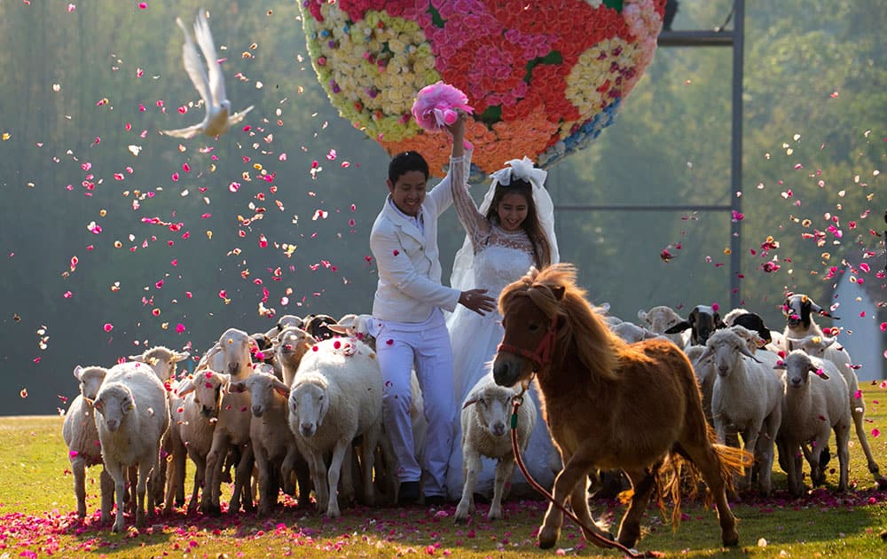 Thai groom Kittinant Suwansirirun holds the hand his bride Jintara Promachat away from a giant flower ball as a part of an adventure-themed wedding ceremony in Ratchaburi Province, Thailand.