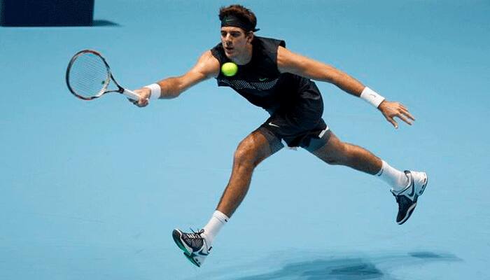 Juan Martin del Potro makes winning return in Florida