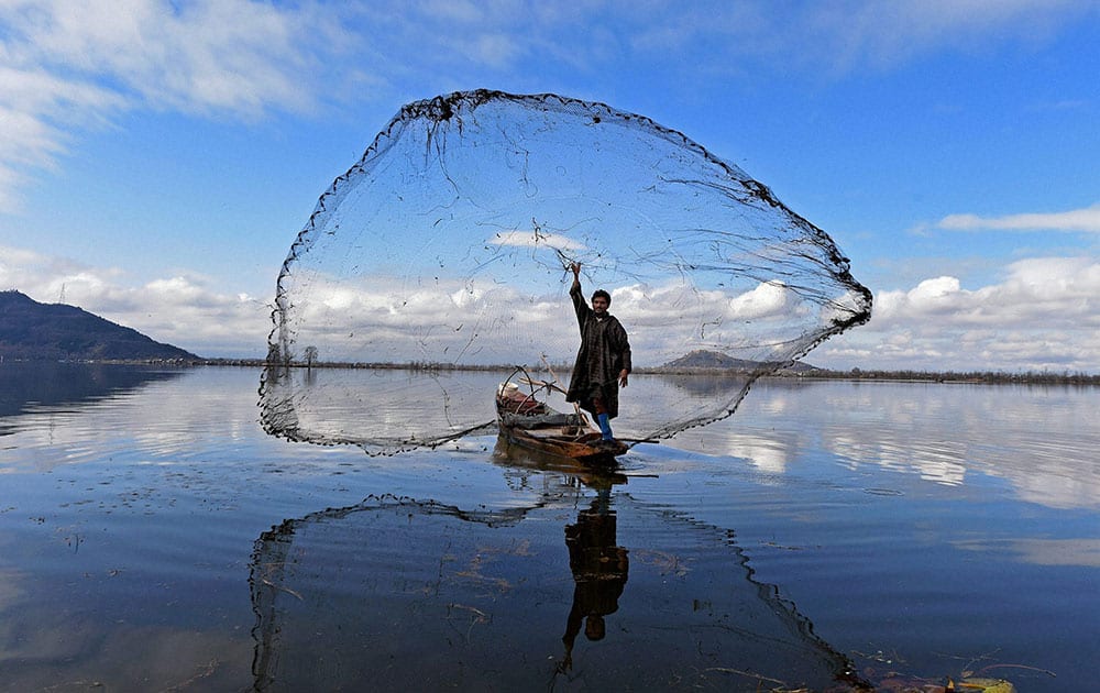 A fisherman casts his net to catch fish at the Dal Lake in Srinagar.