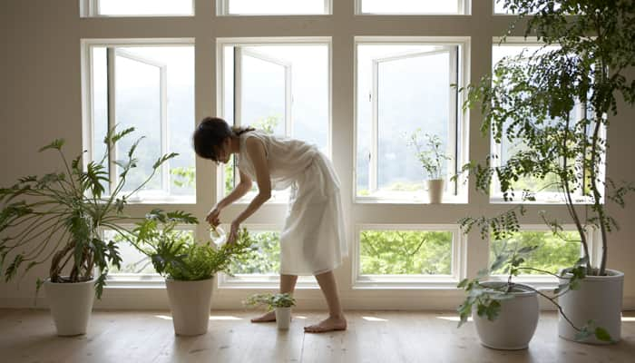 Flush in positivity in your home with vibrant flowers and plants!