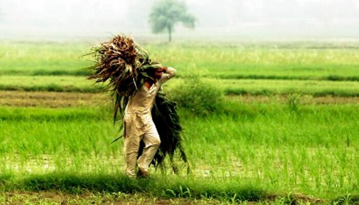 Govt gives Rs 36,000 crore to farm sector; agri-credit at Rs 9 lakh crore