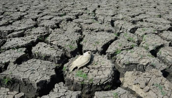 Vietnam hit by worst drought in 90 years