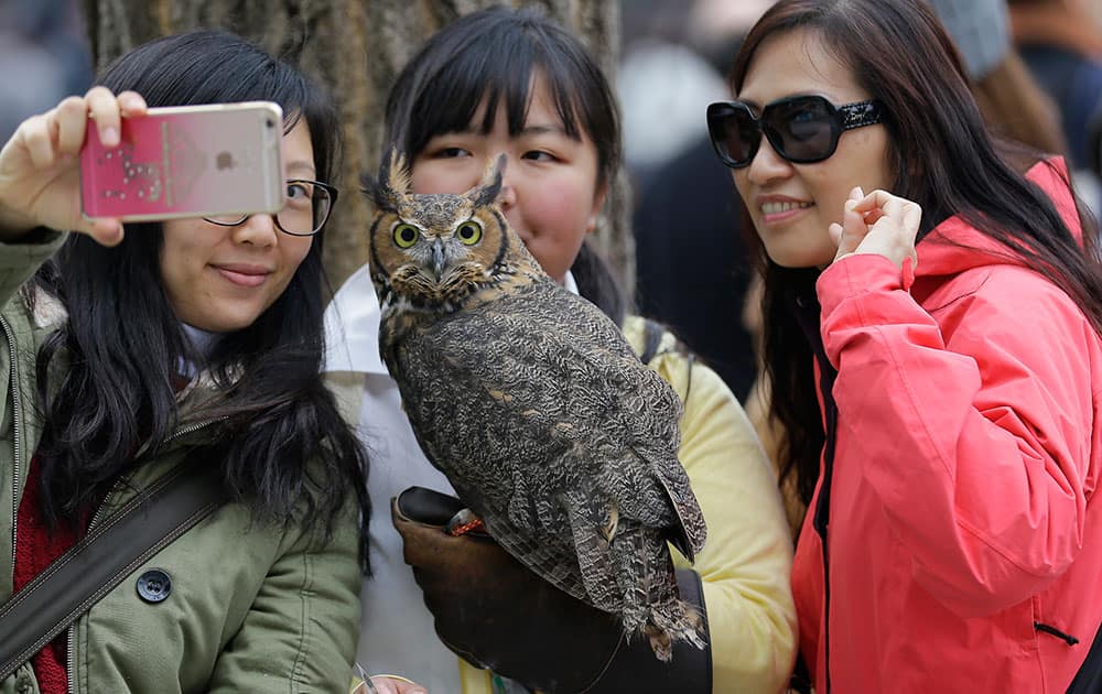 Passers-by take a selfie with owl 