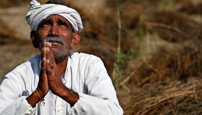 Hundreds of acres of agricultural fields damaged as unseasonal rainfall flattens crops in Punjab, Haryana