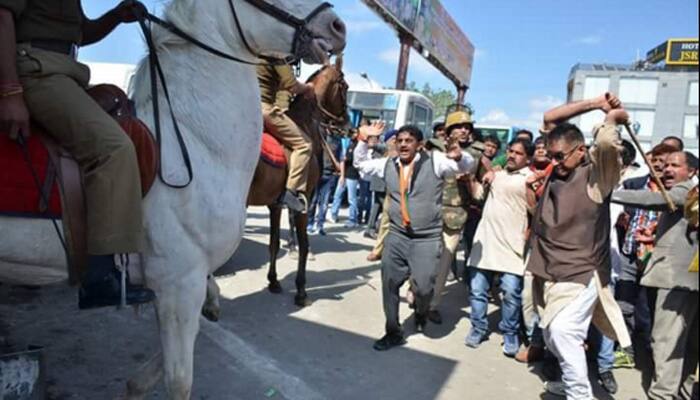 Anti-Congress protest turns violent; BJP MLA turns his ire on horse, draws flak