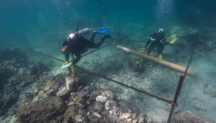 Shipwreck from Vasco da Gama&#039;s fleet to India discovered - Watch video