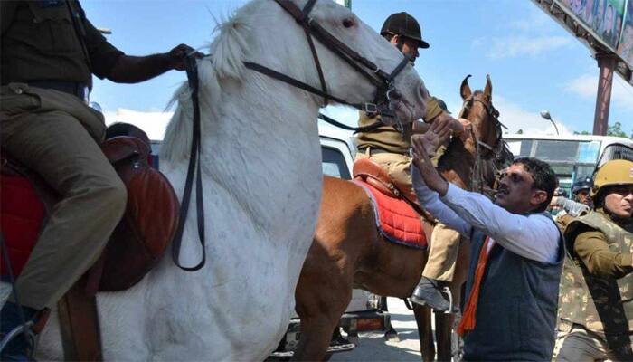 Shaktiman, the horse injured during protest in Uttarakhand, needs amputation: Police