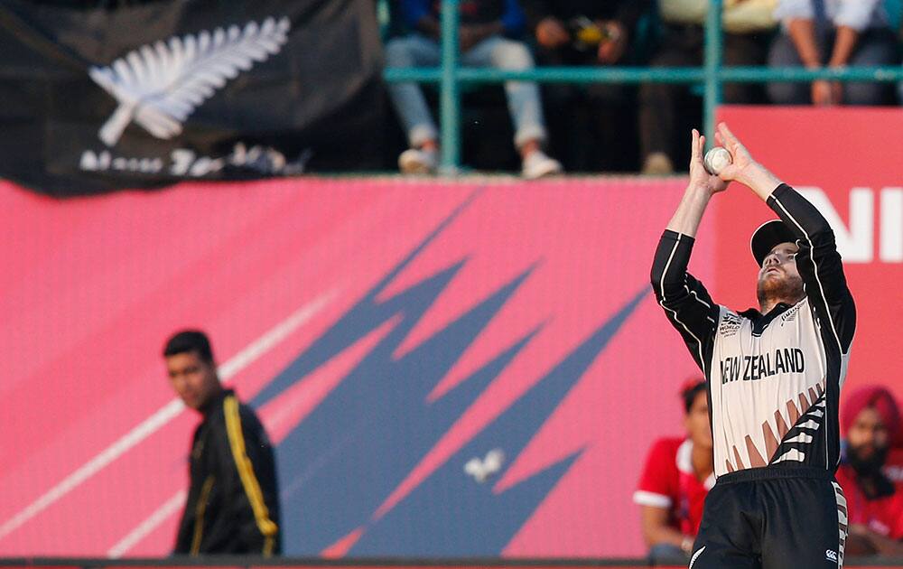 New Zealand's Kane Williamson catches Australia's Glenn Maxwell out during their ICC World Twenty20 2016 cricket match at the Himachal Pradesh Cricket Association (HPCA) stadium in Dharamsala.