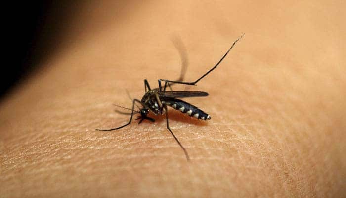 116 US residents infected with Zika virus, says report