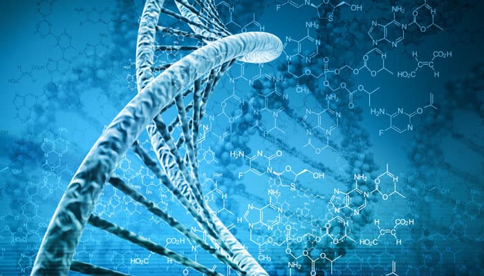 Our DNA less &#039;human&#039; than scientists previously thought!