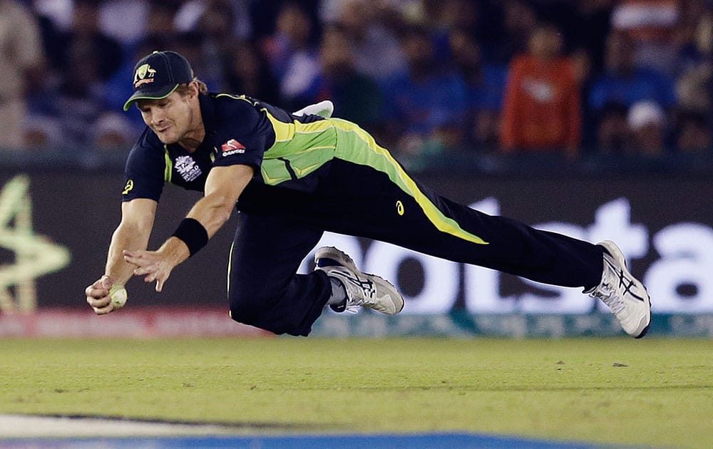 Australia's Shane Watson dives to take a catch to dismiss India's Yuvraj Singh during their ICC World Twenty20 2016 cricket match in Mohali.