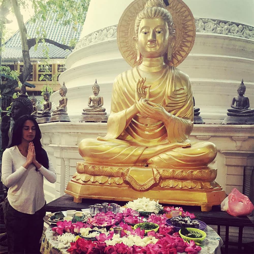 mallika sherawat :- Divine blessings and prayer for all #lordbuddha #divineguidance -instagram