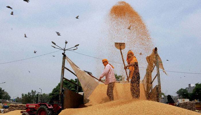 Govt extends wheat import duty till June on higher production