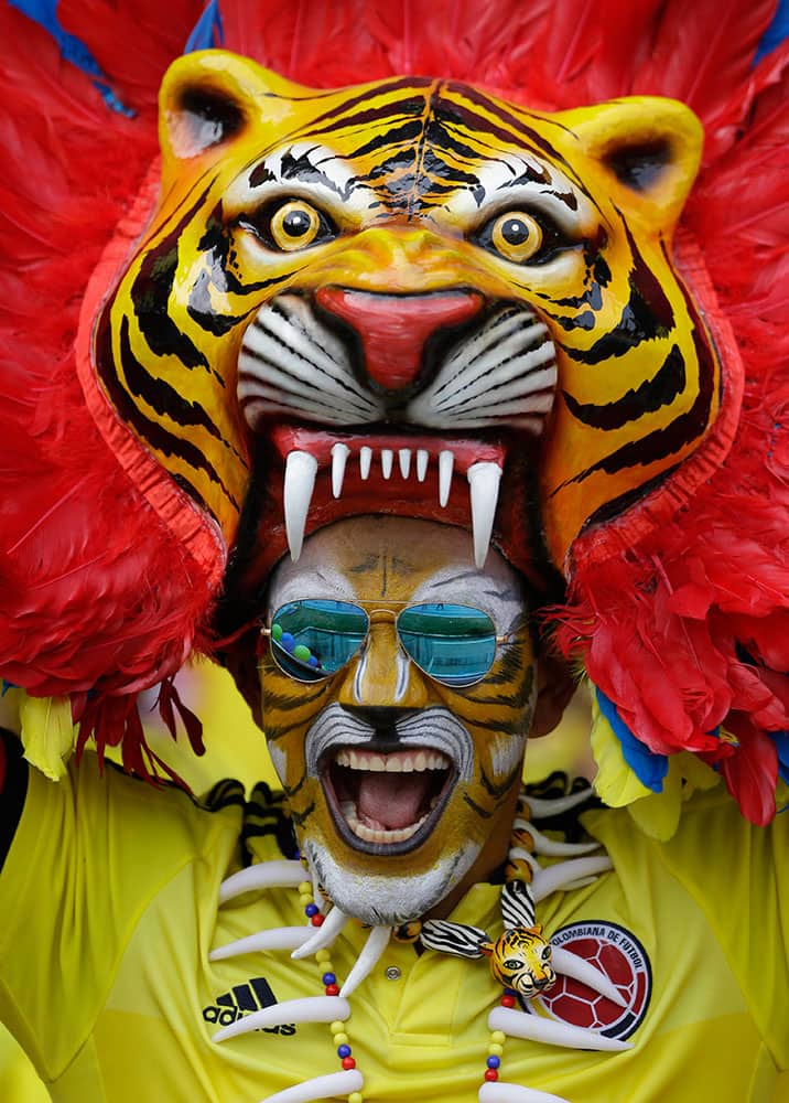 A fan of Colombia's national team in a tiger costume cheers rior the 2018 World Cup qualifying soccer match against Ecuador in Barranquilla, Colombia.