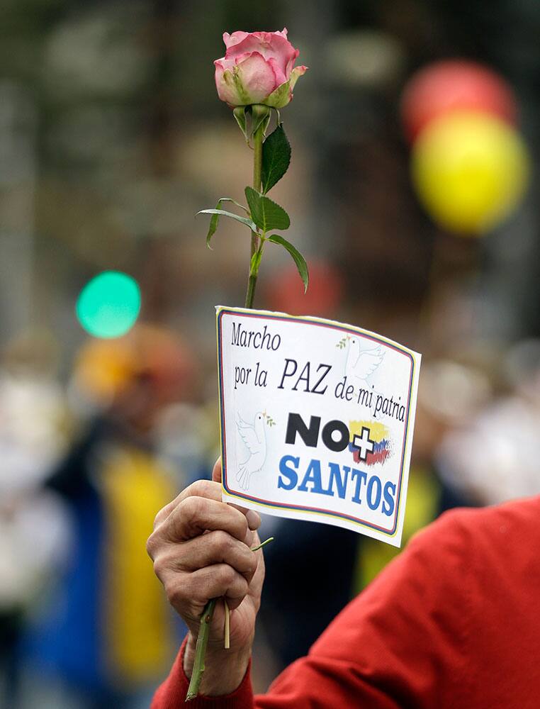 A man holds a rose and signs that read in Spanish;