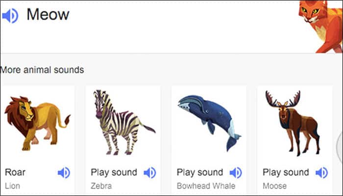 Now, you can teach your kids about animal sounds using Google search! |  Internet & Social Media News | Zee News