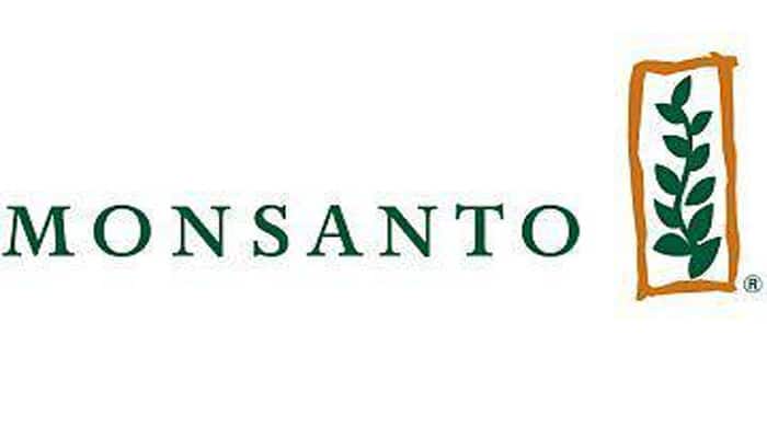 HC seeks Monsanto's reply on Nuziveedu seeds' plea on CCI HC seeks Monsanto's reply on Nuziveedu seeds' plea on CCI