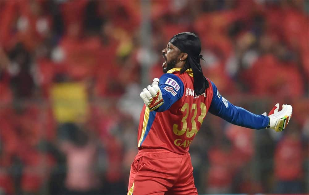 World Boss is still hungry: In a star-studded RCB line-up, Chris Gayle is still the world boss. The second World T20 title will only give the West Indian more confidence.