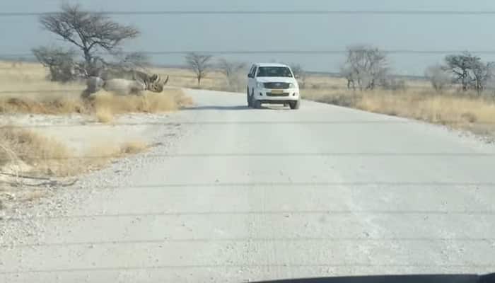 MUST WATCH: Angry Rhino rams into SUV with tourists inside!