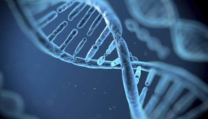 Study shows how oxygen can kill DNA