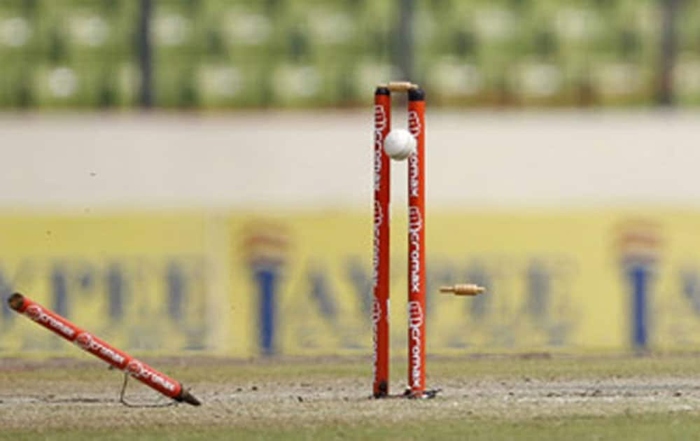 Nathu Singh: He is being touted as India's fastest upcoming bowler. He will play under Rohit Sharma's captaincy as Mumbai Indians paid Rs. 3.2 crore for the pacer. 