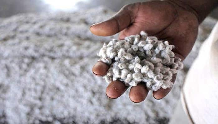 Govt won&#039;t allow Monsanto exploit farmers; will continue to regulate cotton prices: Agriculture Minister