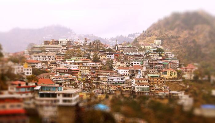 Goats boost agriculture tourism in this Uttarakhand village