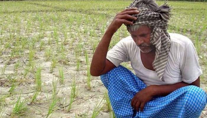 Loan default: SC says big defaulters escape while farmers are penalised