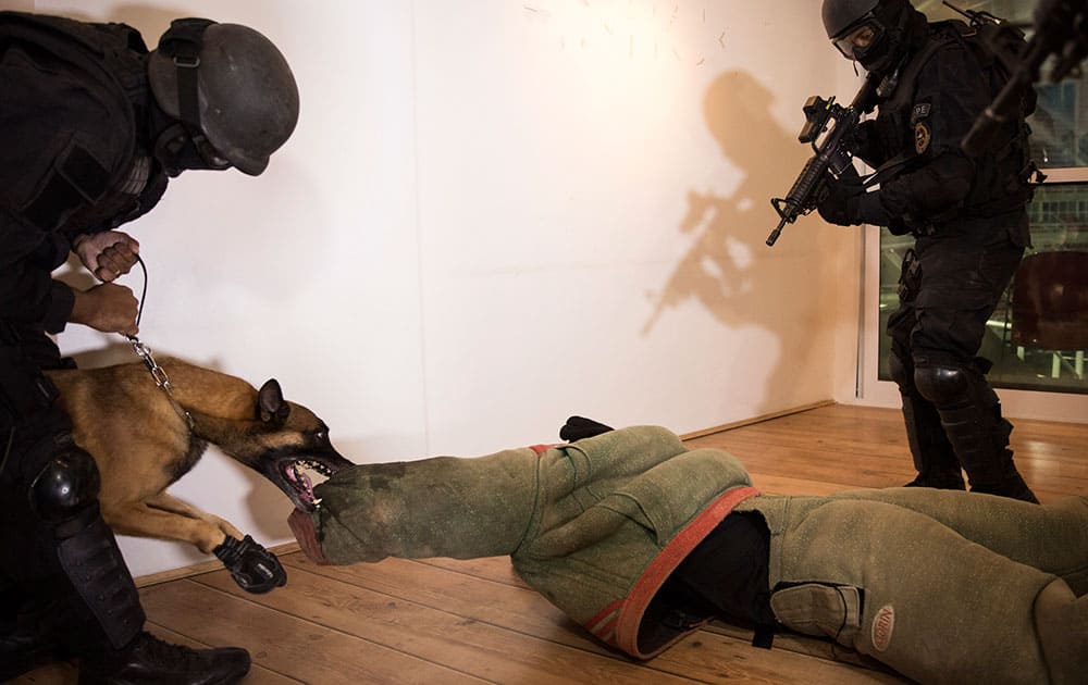 A Police dog bites a man playing the role of a criminal during a security drill at the Rio Olympic Arena in Rio de Janeiro, Brazil.