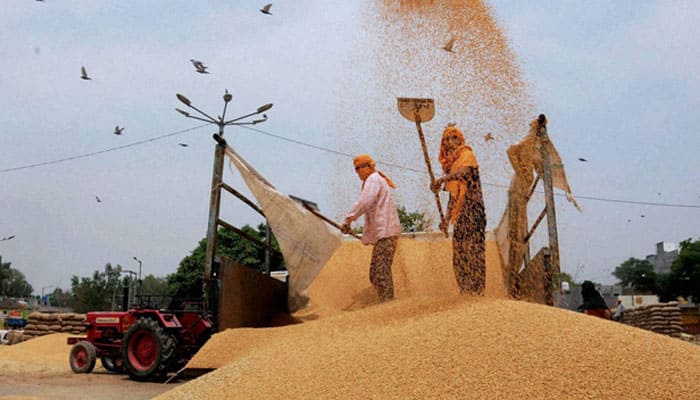 India&#039;s wheat imports to hit decade high as weather woes curb output: Survey