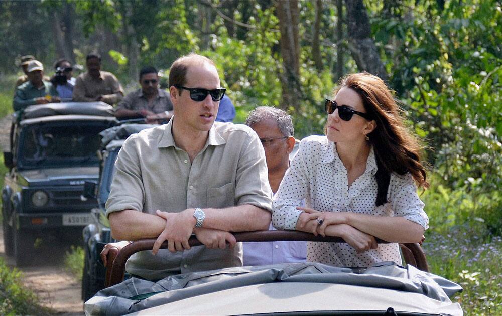 Britain's Prince William and Kate, the Duchess of Cambridge take an open vehicle safari inside the Kaziranga National Park, Assam.