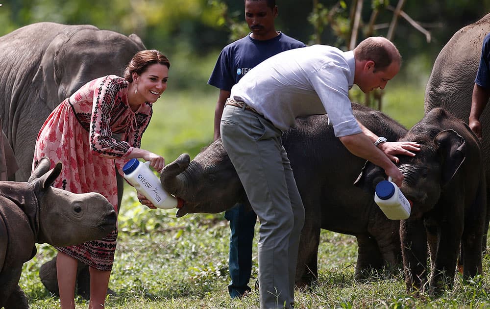 Britain's Prince Charles and his wife Kate, Duchess of Cambridge, feed a baby elephants at the Centre for Wildlife Rehabilitation and Conservation (CWRC), at Panbari reserve forest in Kaziranga,Assam.