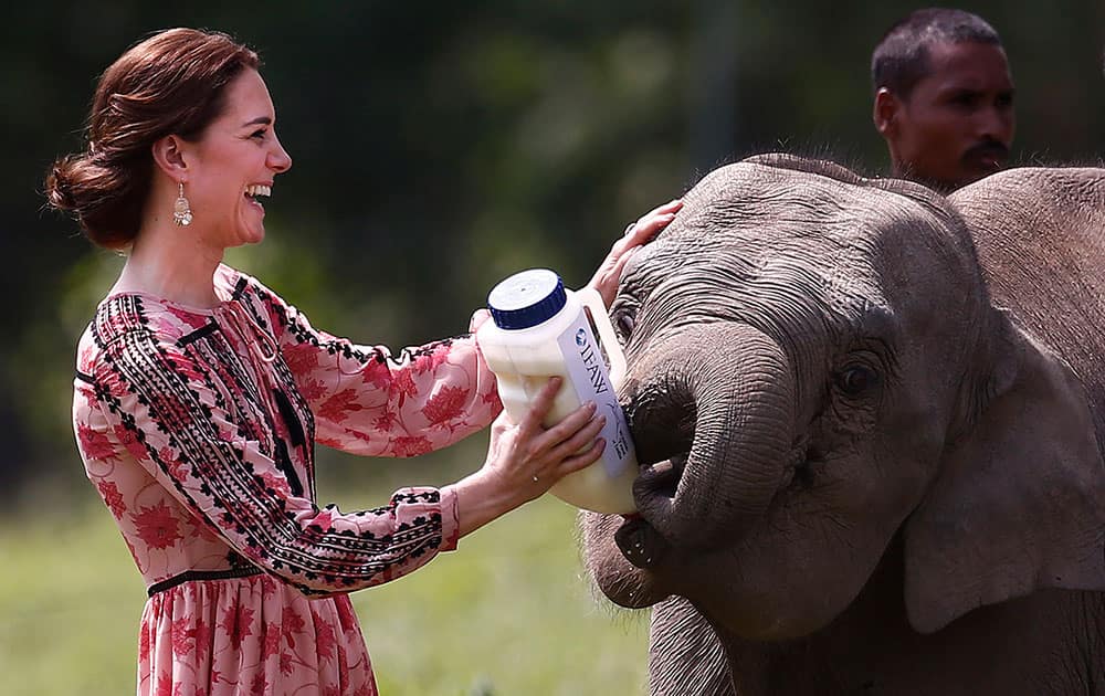 Britain's Kate, Duchess of Cambridge, feeds a baby elephant at the Centre for Wildlife Rehabilitation and Conservation (CWRC), at Panbari reserve forest in Kaziranga, Assam.