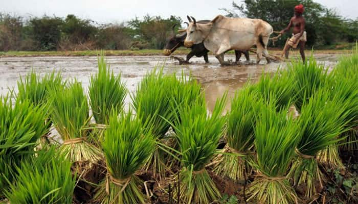 Good monsoon to help agriculture GDP grow by 7-8% in FY17: SBI