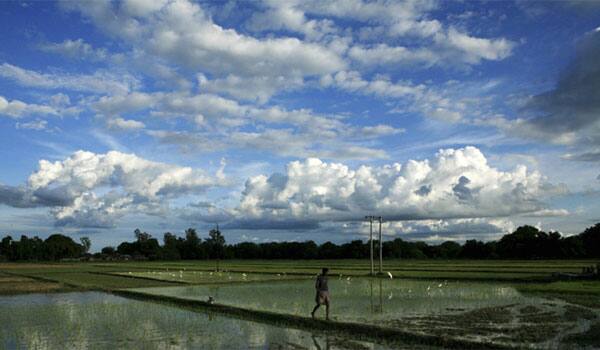 Good monsoon to send encouraging signals for inflation, growth