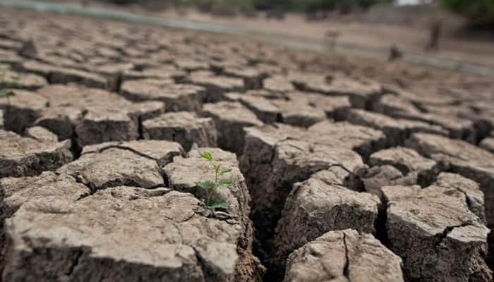 Water crisis: Section 144 imposed around kukadi canal in Maharashtra